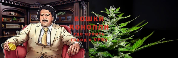 шишки Алексеевка