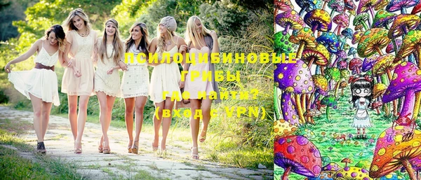 шишки Алексеевка