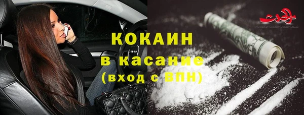 шишки Алексеевка
