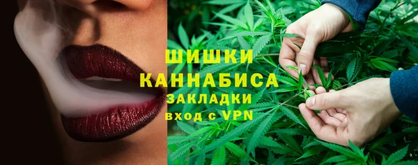 шишки Алексеевка