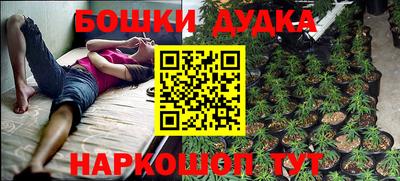 гидропоника Кунгур