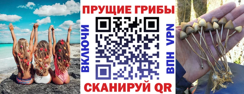 мориарти клад  Конаково  Галлюциногенные грибы Magic Shrooms 