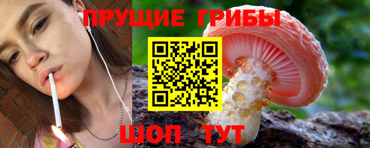 Галлюциногенные грибы Magic Shrooms  Галлюциногенные грибы мицелий  Вход с VPN  где купить наркоту  Конаково 