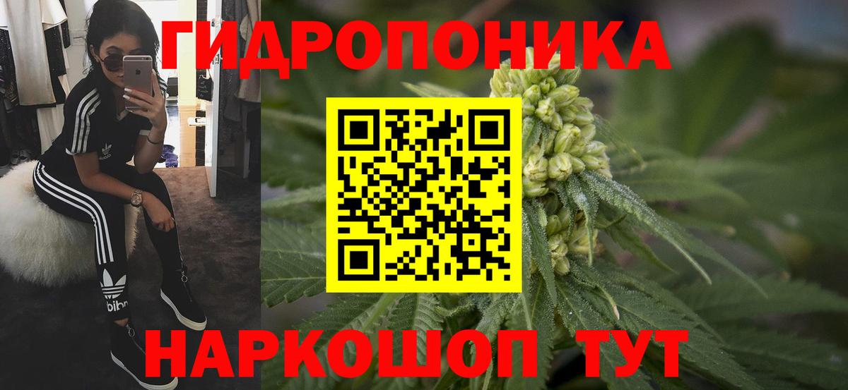 Конаково  Каннабис LSD WEED  Вход с VPN  Шишки марихуана план  Шишки марихуана марихуана  Канабис OG Kush 